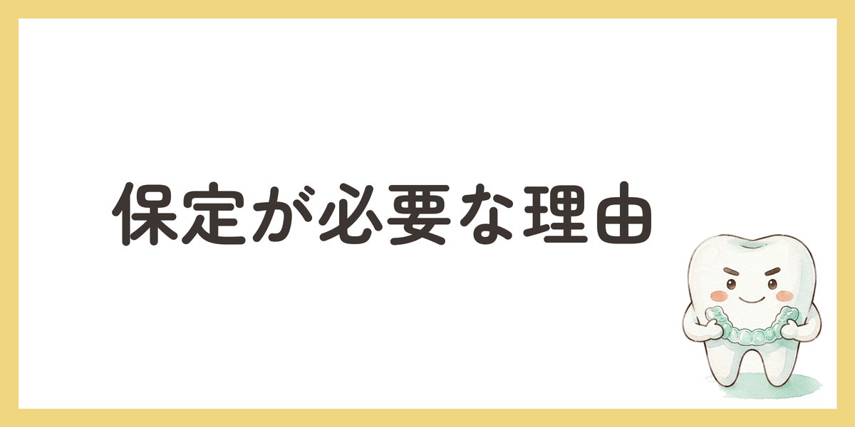 保定が必要な理由