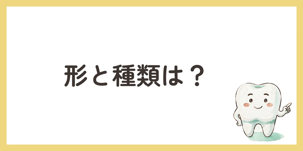 形と種類は?