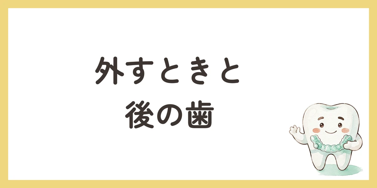 外すときと後の歯