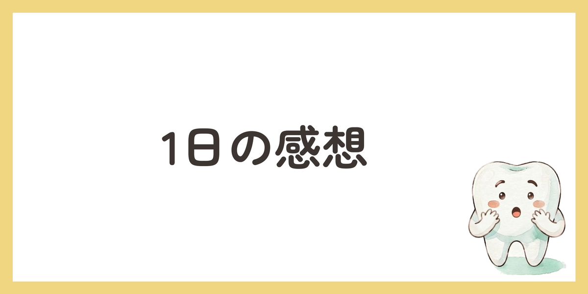 1日の感想