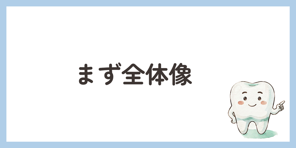 まず全体像